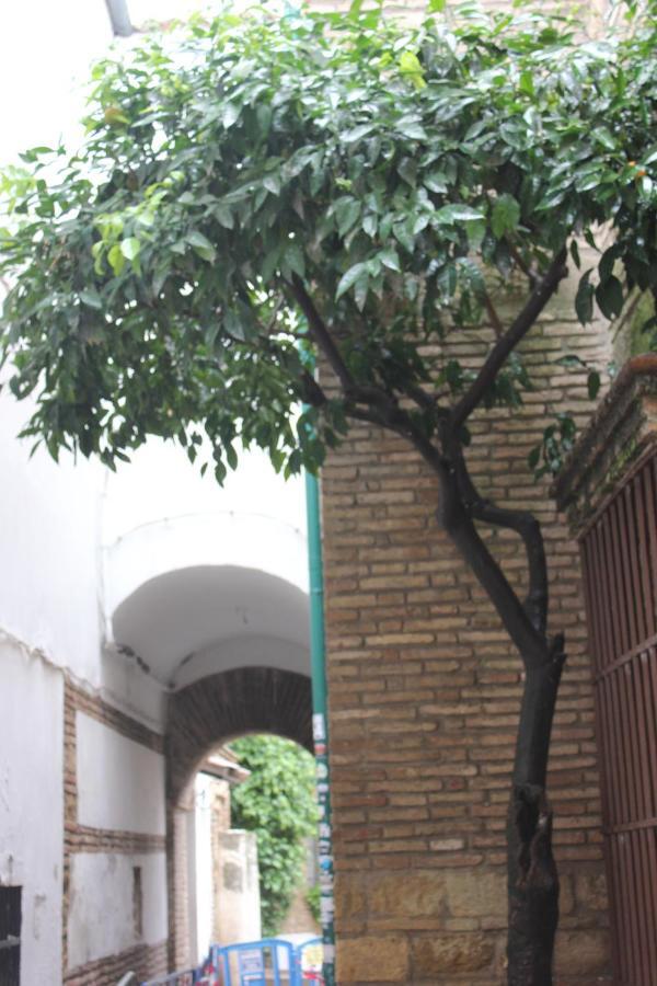 Loft Turistico En Casco Historico, Wifi Y Tv Satelite Gratis Apartment Córdoba Exterior foto